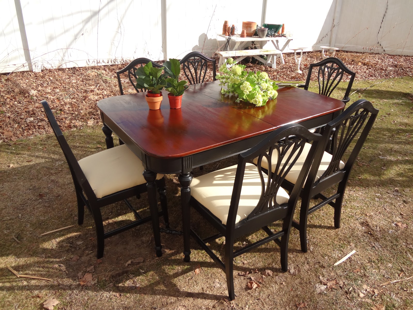 Heir and Space An Elegant Mahogany Dining Set