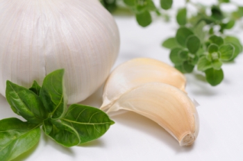 Benefit Of Garlic