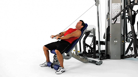 Gym Excercise Fitness Workouts Incline Bench Overhead Pressdown