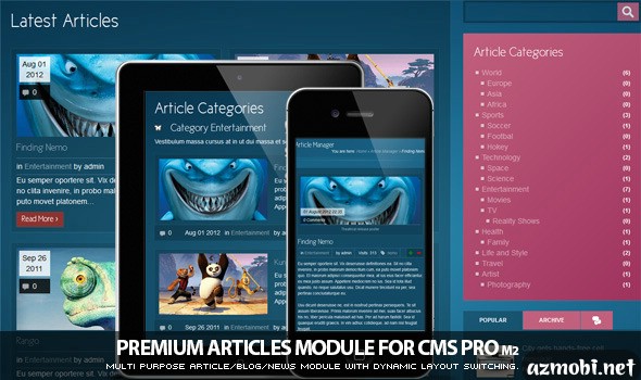 Article Manager Module for CMS pro!