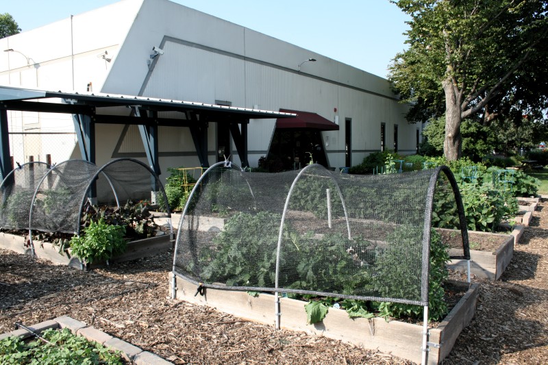 Gardening in Austin: Inside Austin Garden Tour