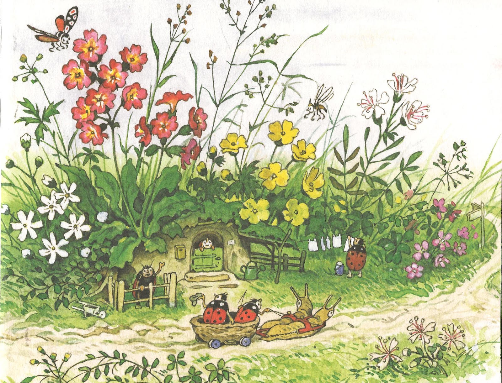 Rehearsal Dinners Hendri S Events