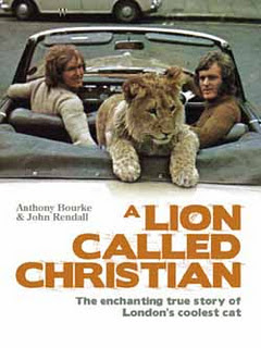 free download movie The Lion Cub from Harrods 