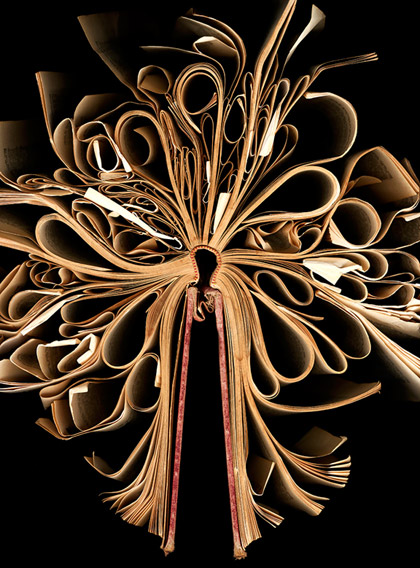 Amazing Artist Books