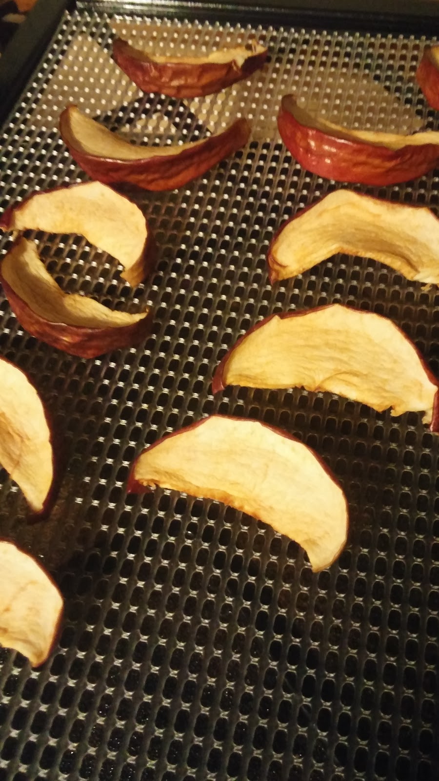Heading Home Farms Dehydrating Apples for Healthy Snacking