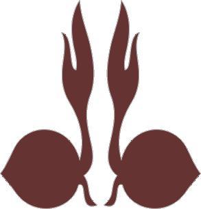 Download Gambar Tunas Kelapa Logo Pramuka Keren Gif