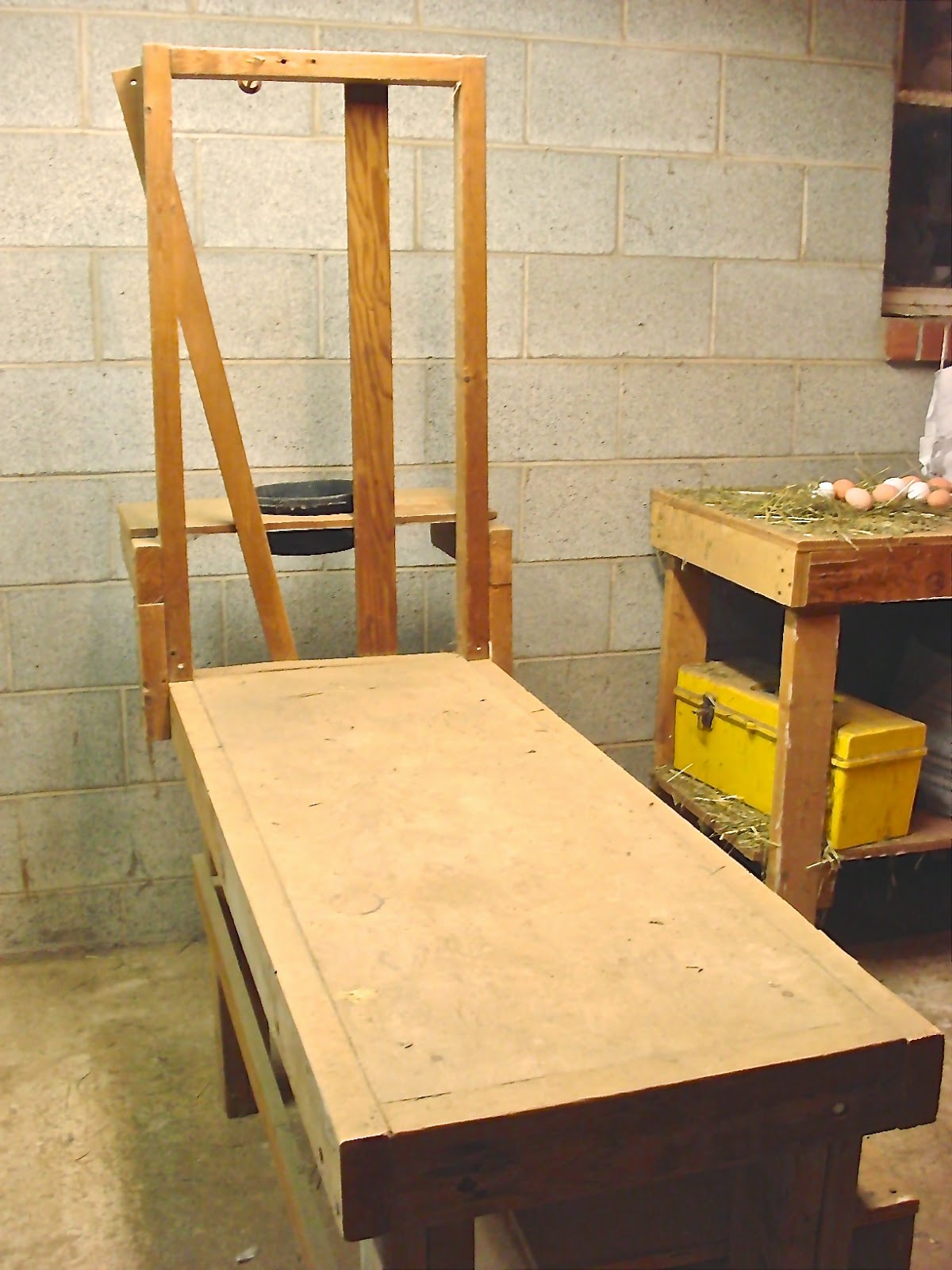 Down on The Farm Goat Hoof Trimming