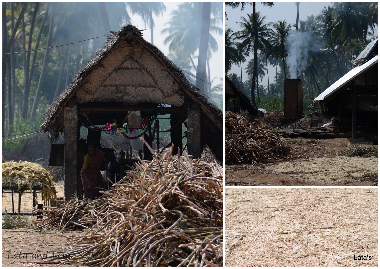 http://1.bp.blogspot.com/-yY2EQzy9A_s/UMePhsFKiEI/AAAAAAAAGKU/uheQCHg5dmk/s1600/Process+of+making+jaggery+(2).jpg