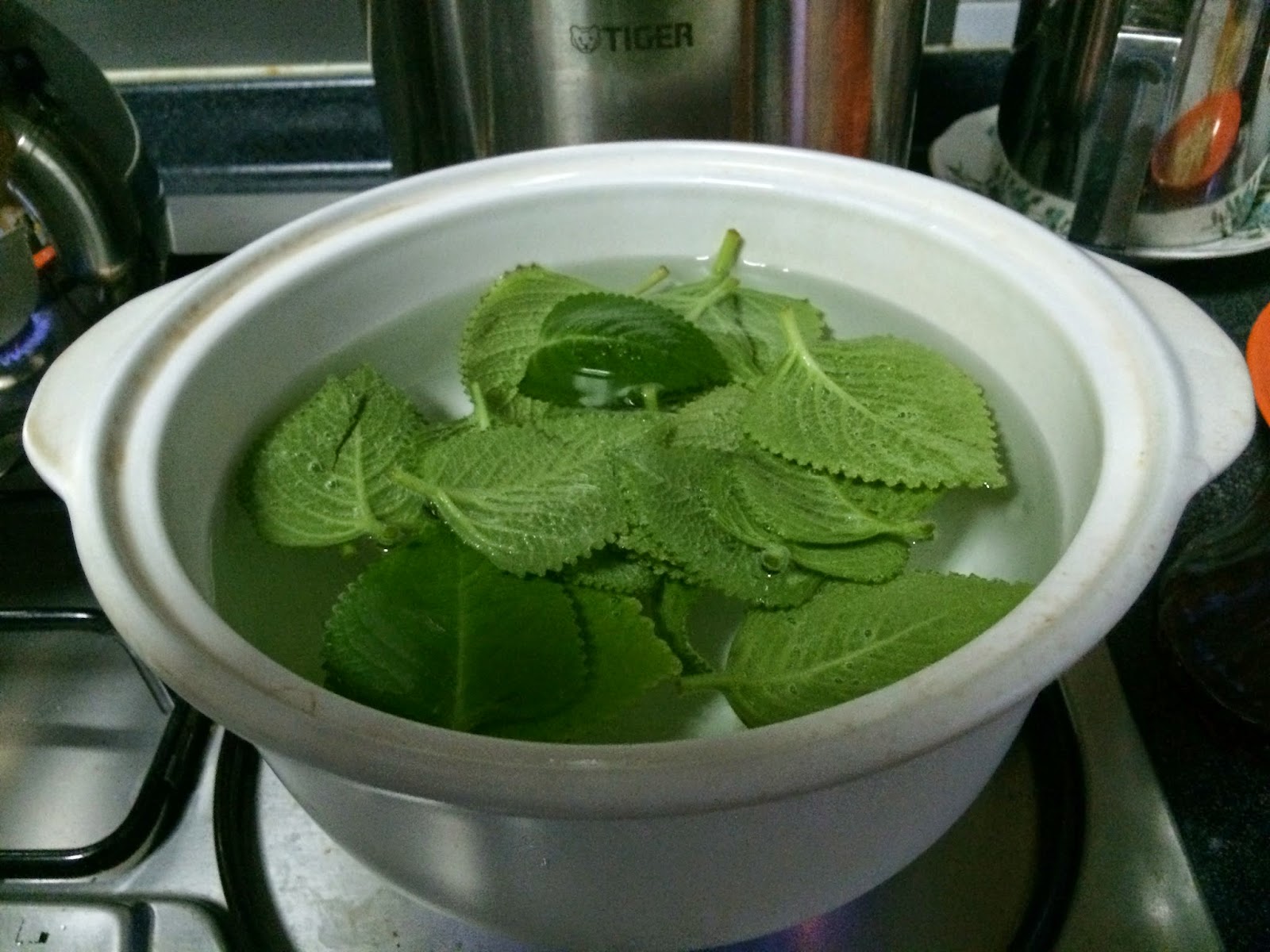My Learning Journey Another Drink "Remedy" for Cough Mint Leaf Drink