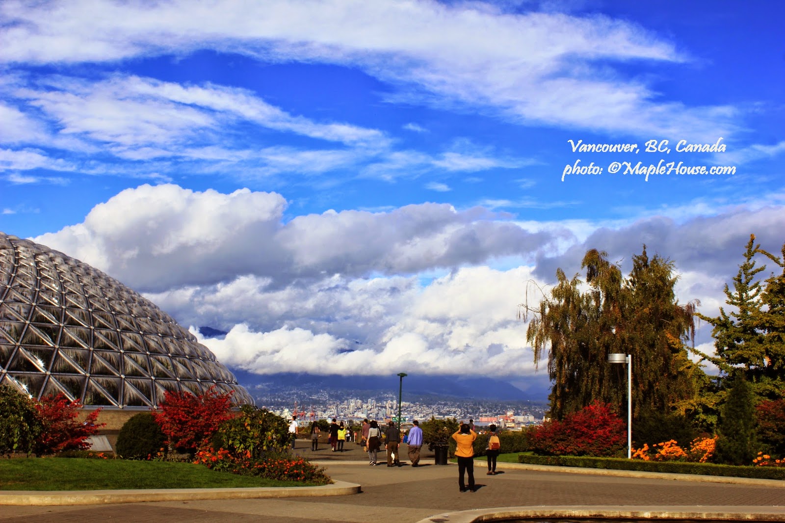 Living Vancouver Canada Visiting Queen Elizabeth Park in Vancouver