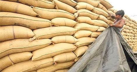 Unanswered Questions On India’s Food Security Bill