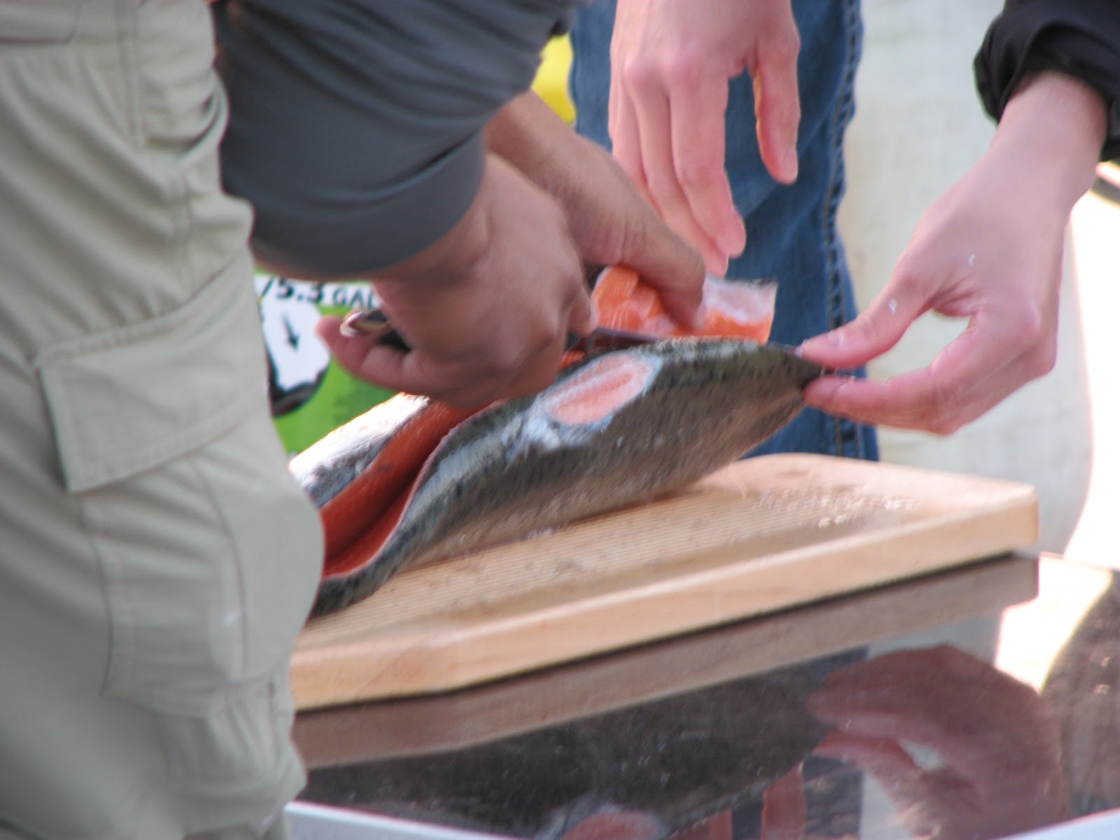 S/V Rhythm: Our Fantastic Voyage!: Fresh Catch