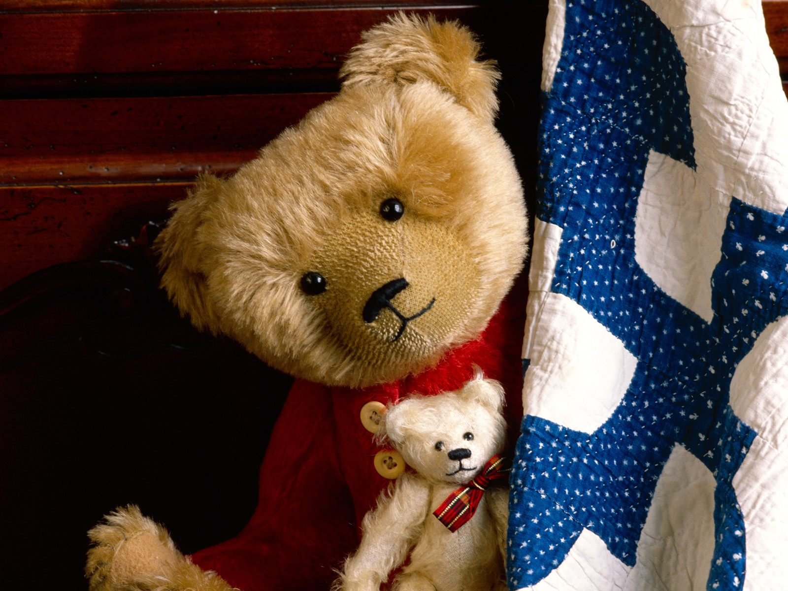 Teddybear Wallpaper