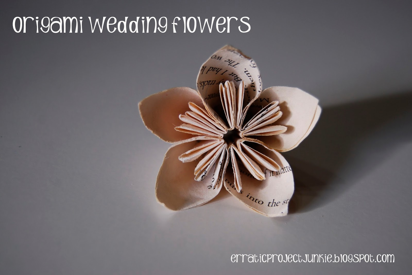 Erratic Project Junkie Fold ALL the Things! Origami Flowers & Kusudama