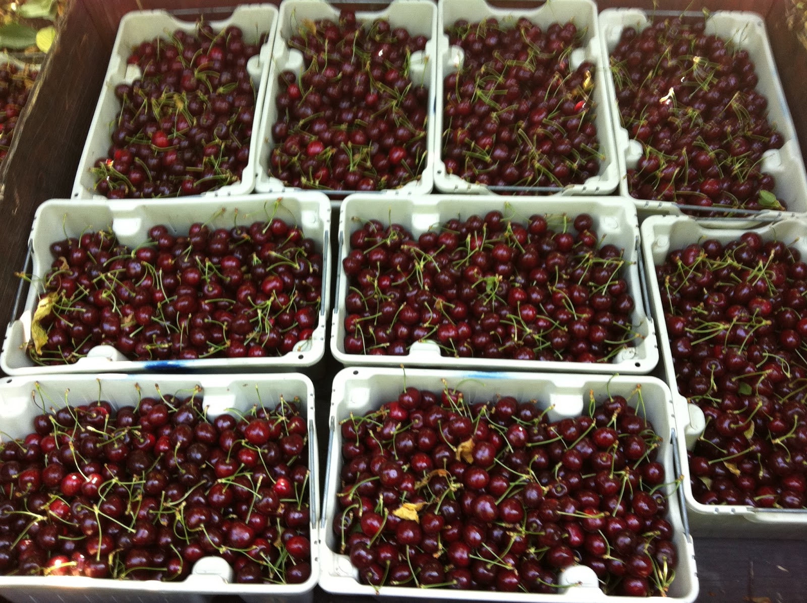 Produce Clerk The Produce Clerks Handbook by RICK CHONG