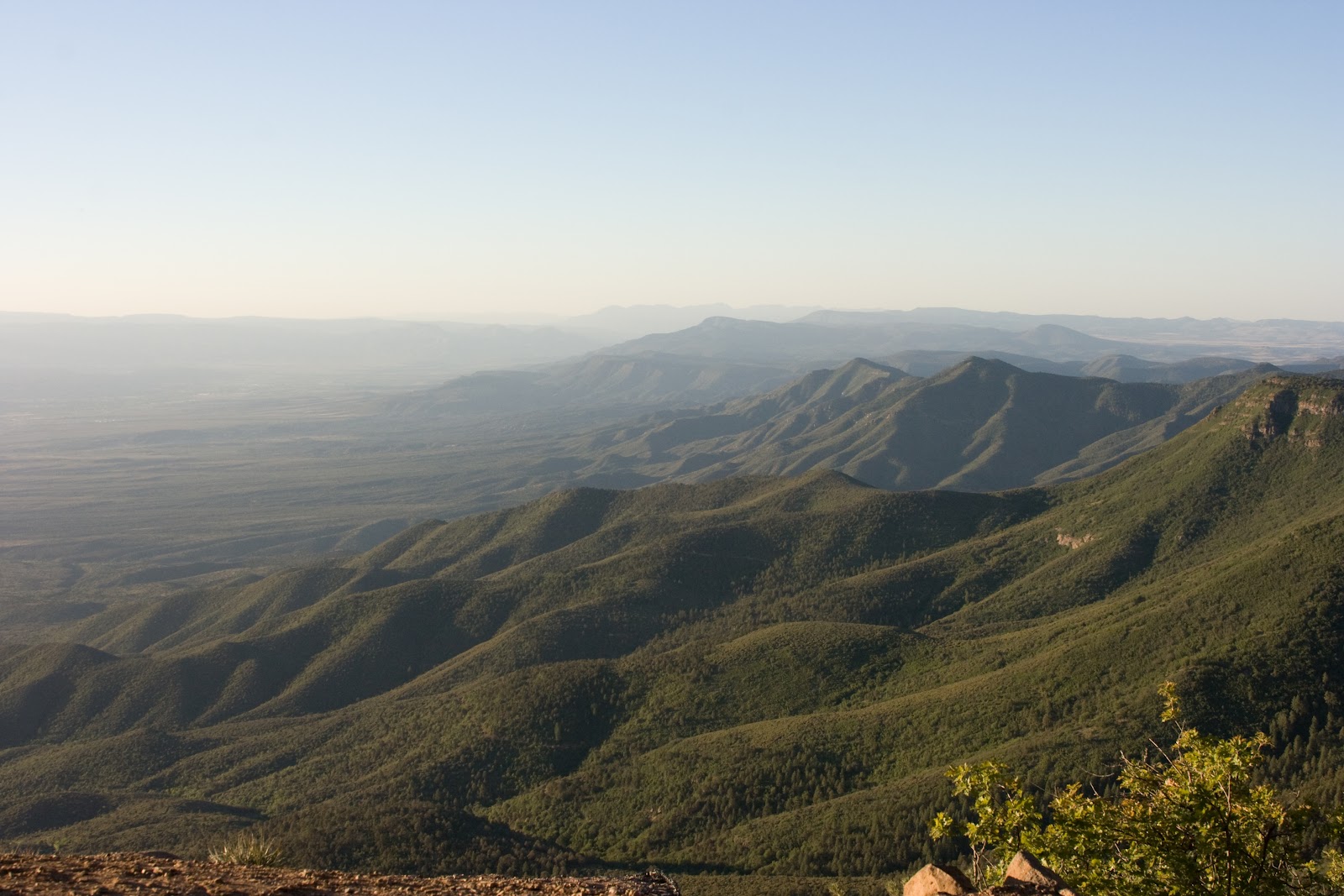 Garden Birds and other sightings... Birding in Arizona Day 4, Mingus