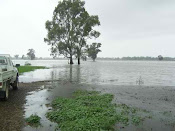 Flood at Katamatite 2012