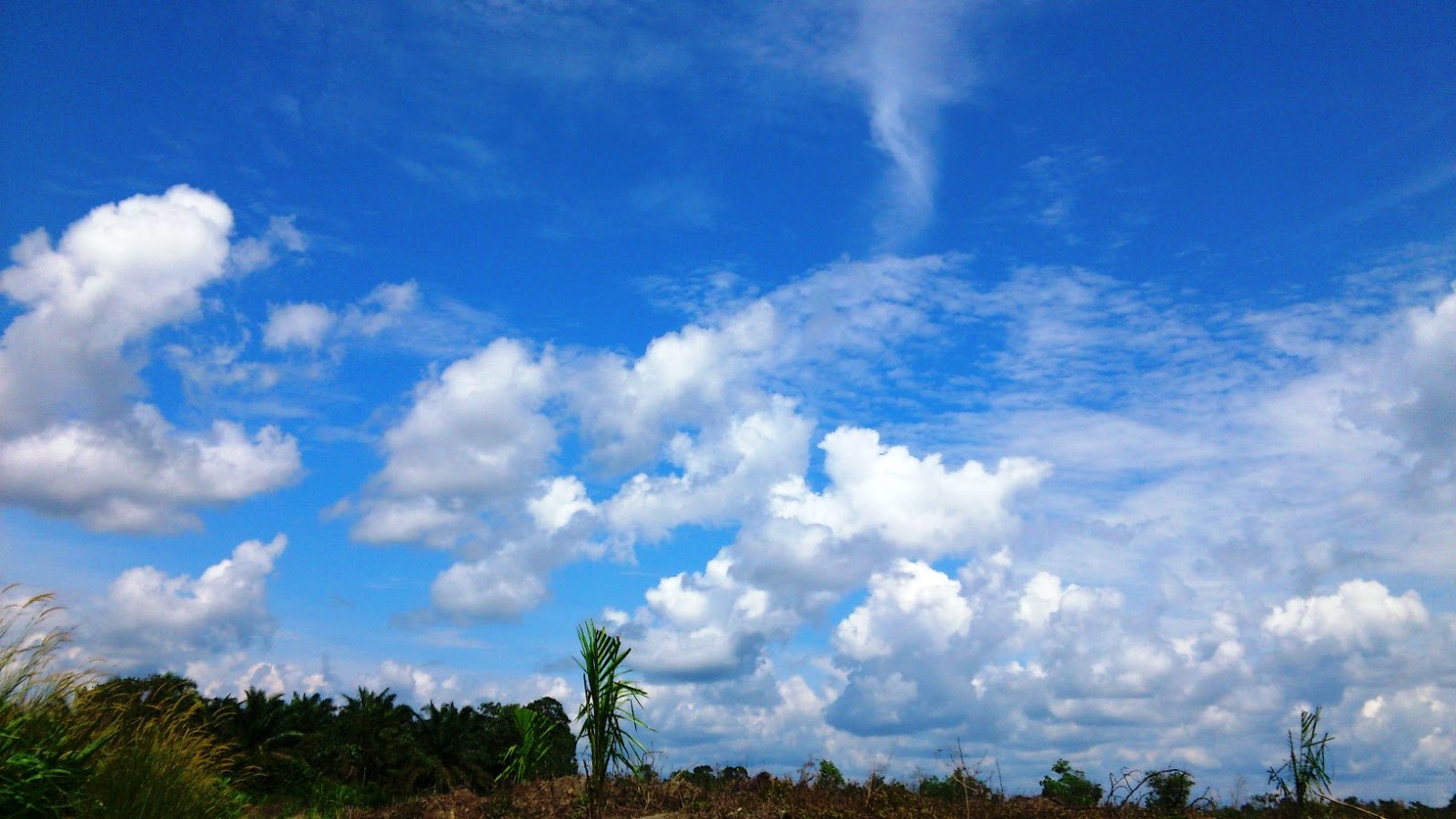 Ilmudunia Mengapa Langit Berwarna Biru
