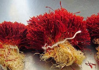 Bibit Benih Saffron Crocus Flower 10 Seeds Di Lapak Dita Garden