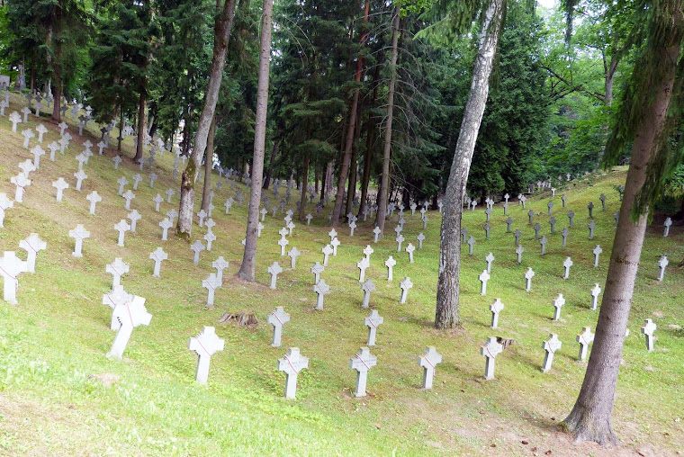 Cementerio de Antakalnis