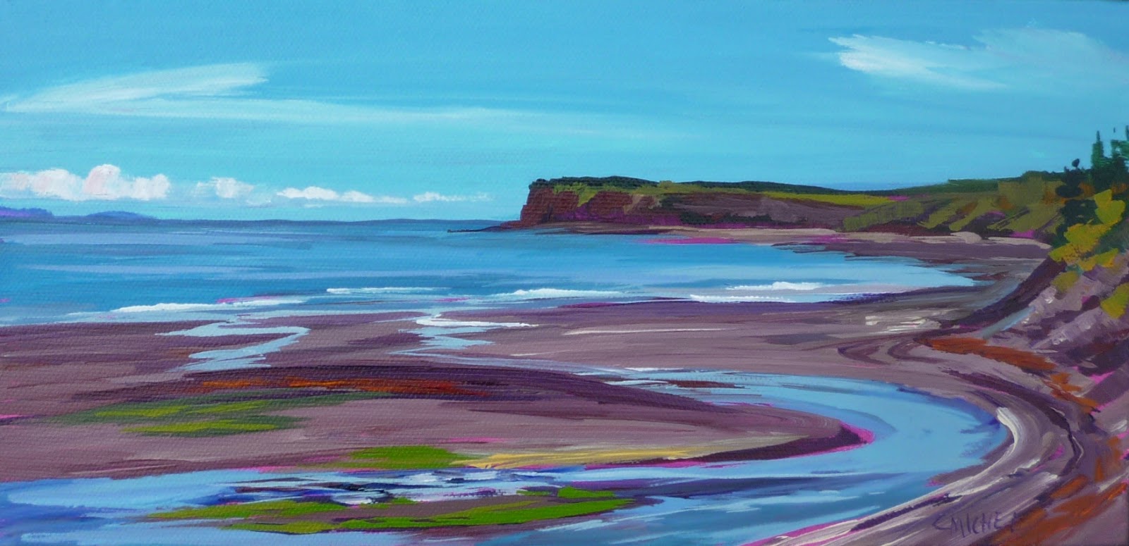 Fundy Trail 1 and Gardner Creek NB 15