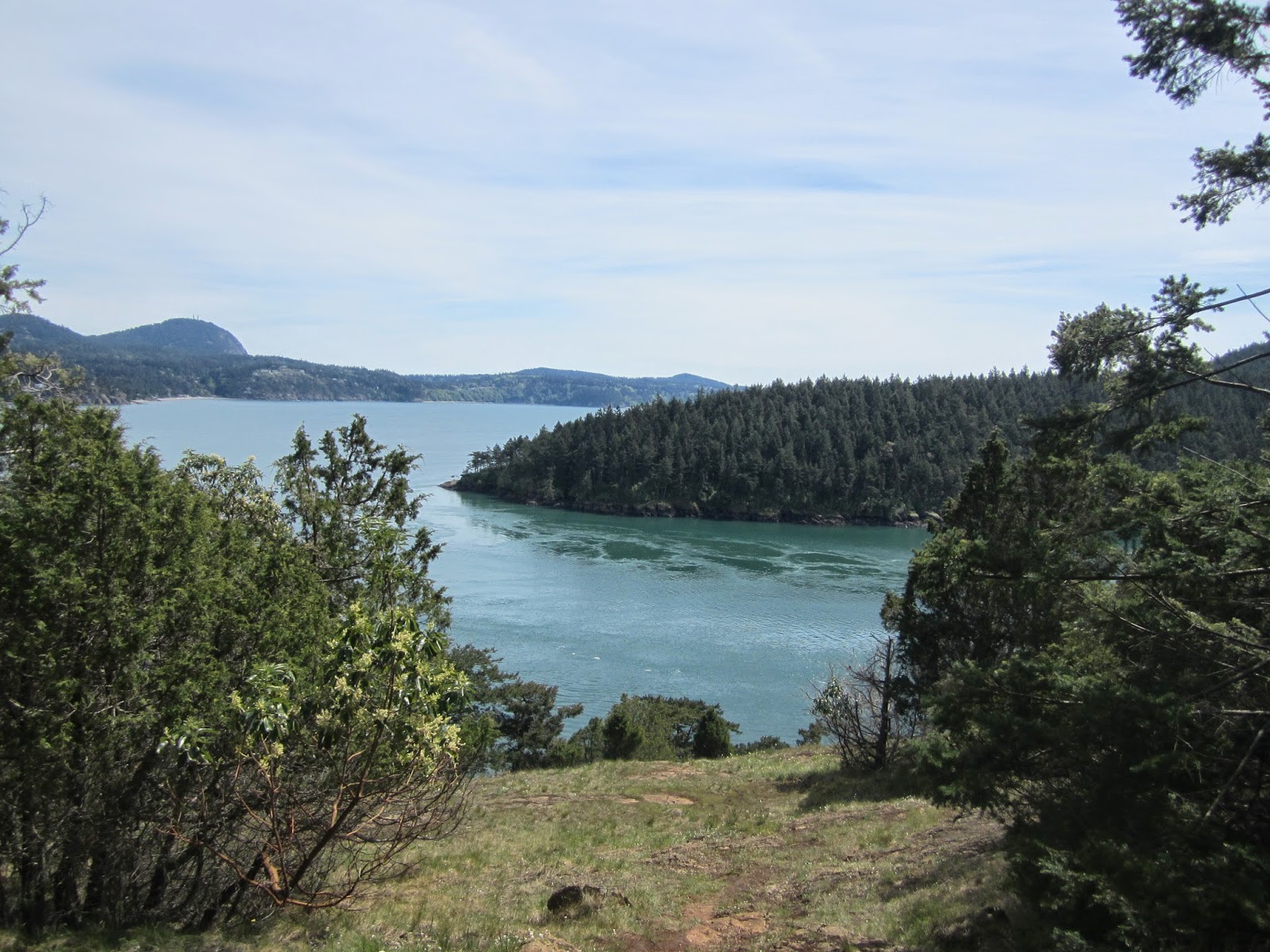 Beware of the Rug Washington Park, Anacortes