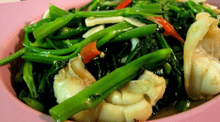 Manfaat Kandungan Kangkung untuk Kesehatan Manfaat Kandungan Kangkung untuk Kesehatan