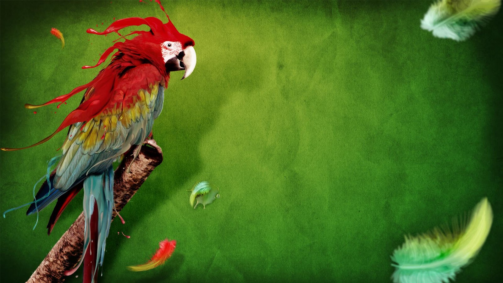 Wallpaper Full Hd Parrot | parrot full hd wallpapers parrot wallpapers parrot hd Wallpaper Full Hd Parrot | parrot full hd wallpapers parrot wallpapers parrot hd