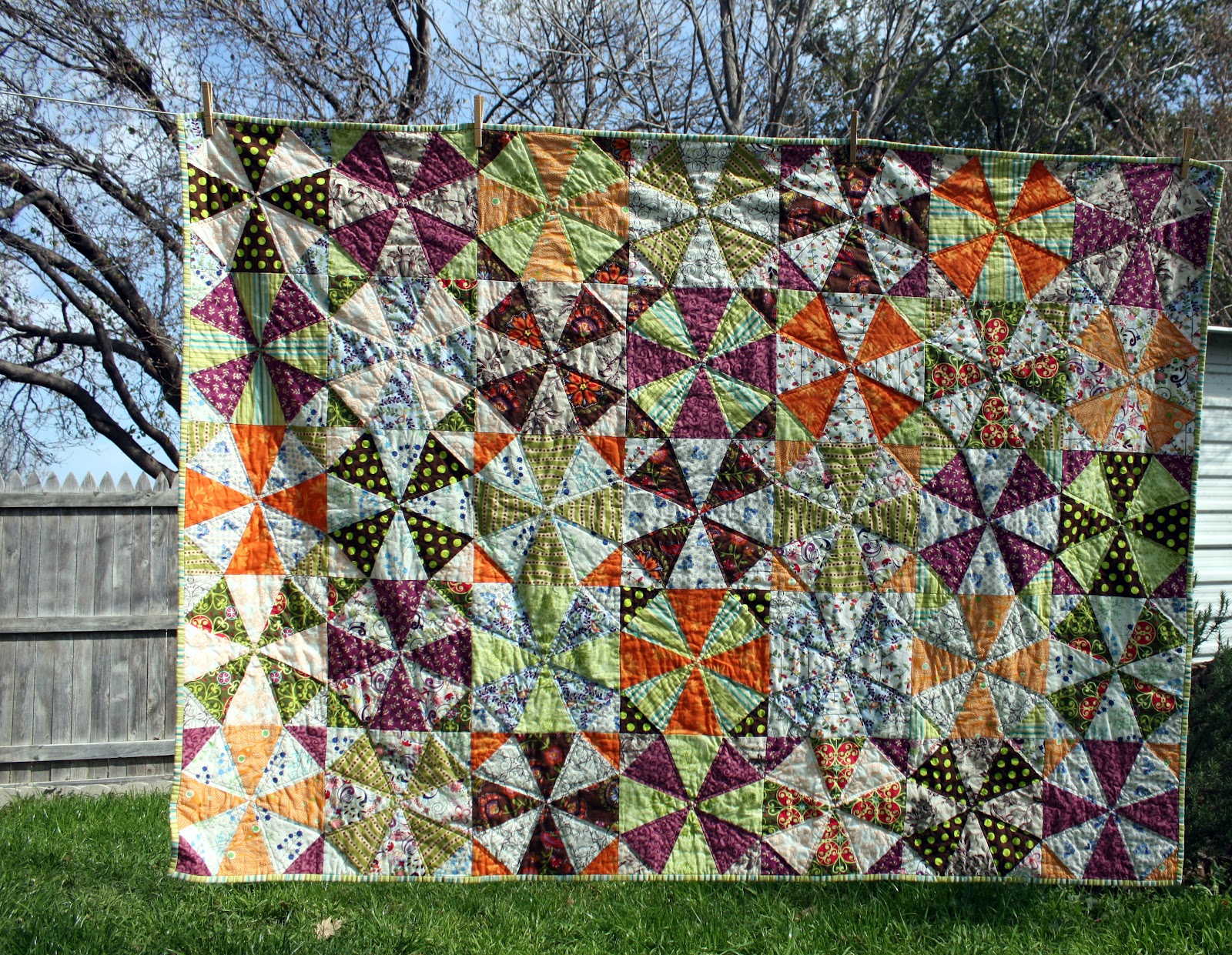 Take a Long, Hard Look Completed Quilts