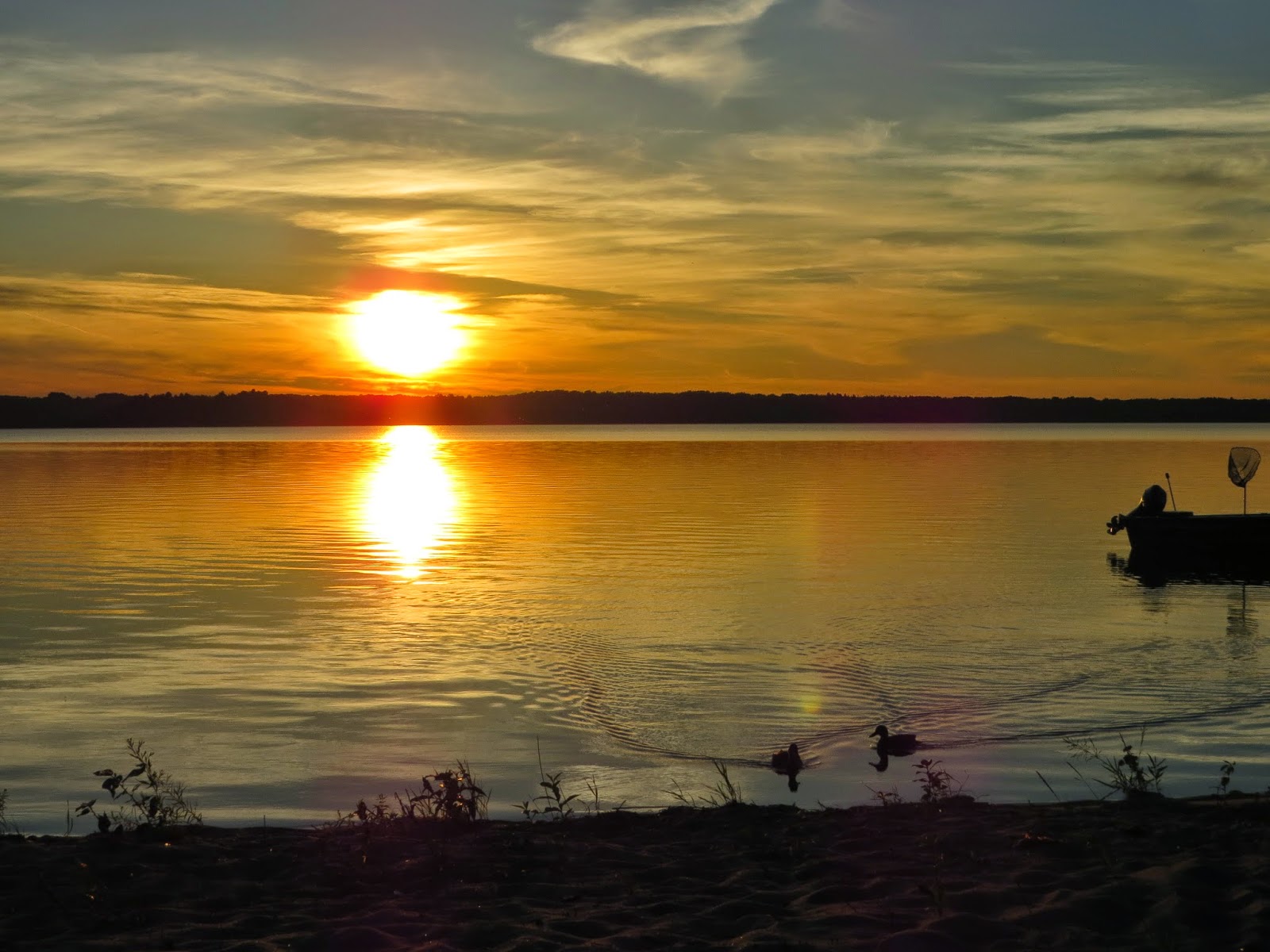 Birds of South Porcupine and Timmins Ivanhoe Lake Provincial Park
