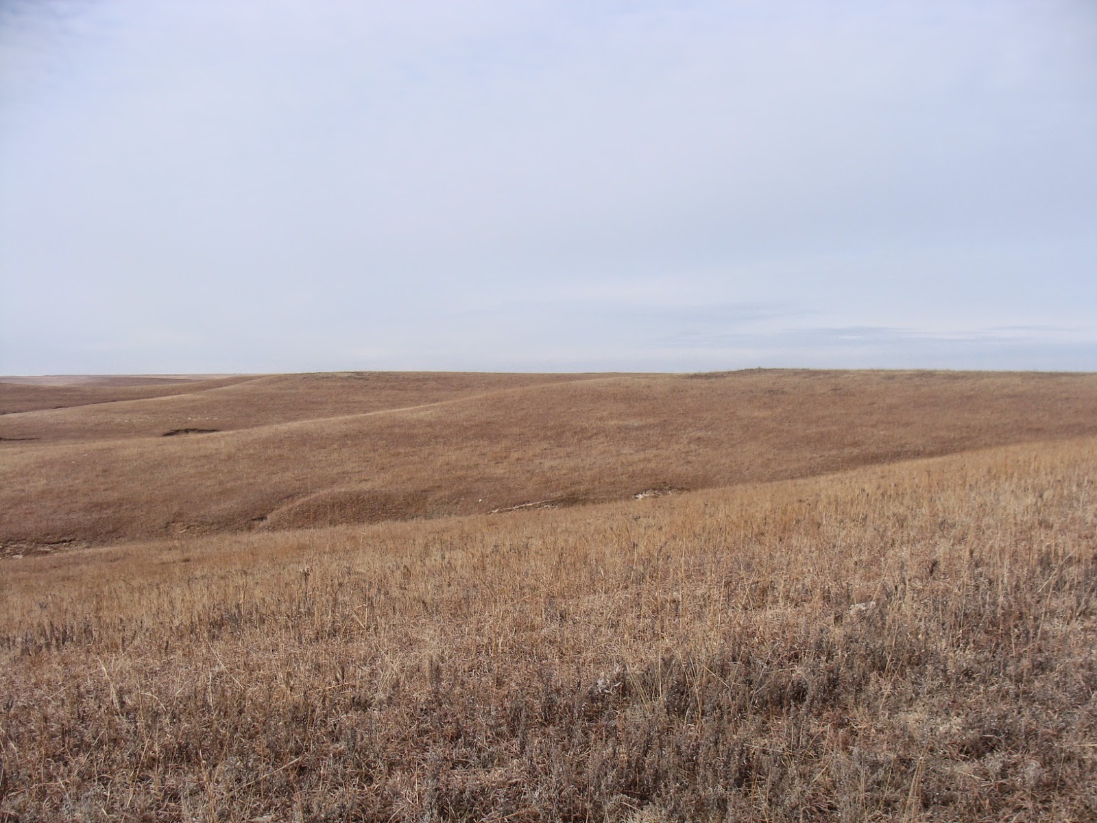 Tallgrass Prairie National Preserve Day Drunk Tallgrass Prairie