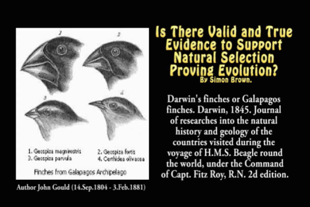 Is There Valid and True Evidence to Support Natural Selection Proving Evolution? 