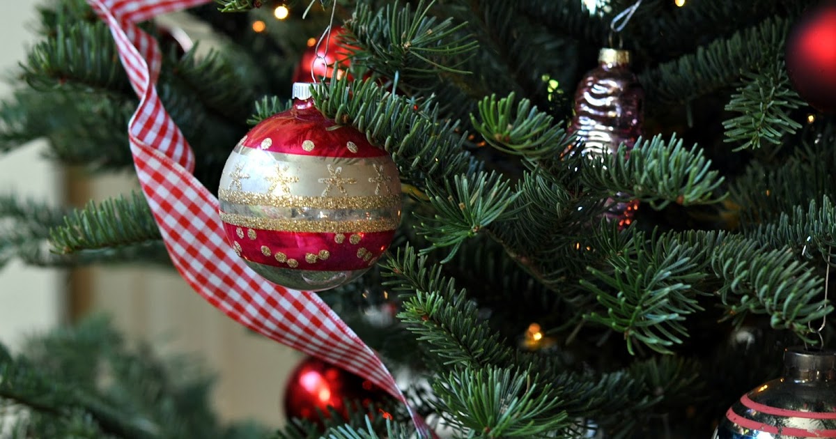 the Christmas tree Life on Lemon Lane