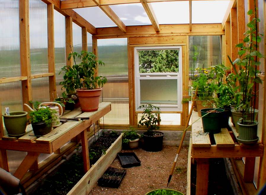 The Basics Of Building Your Own Greenhouse UrbanGardening