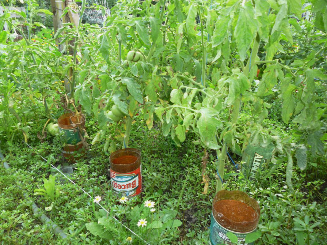 Din Gradina Sistem De Protectie Si Umbrire Cu Plasa In Gradina