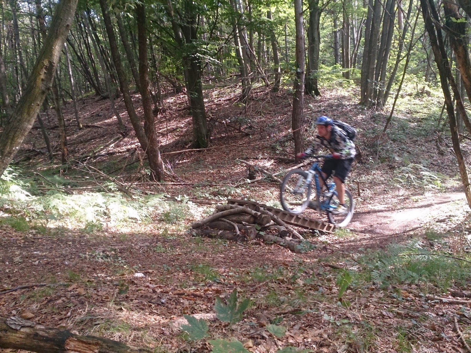 Freeride Inc Austria Mountainbike Blog Deutschland Osterreich