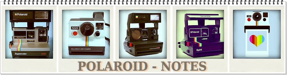 Polaroid-notes