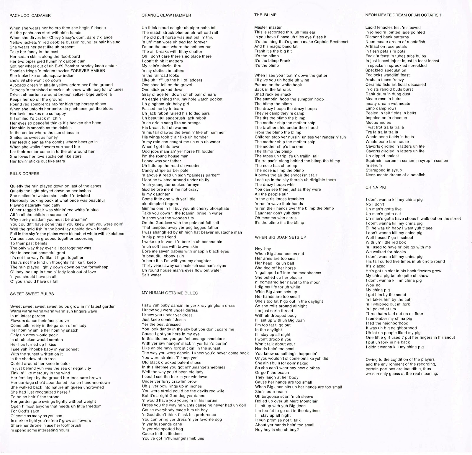 Rare Inserts Captain Beefheart Trout Mask Replica