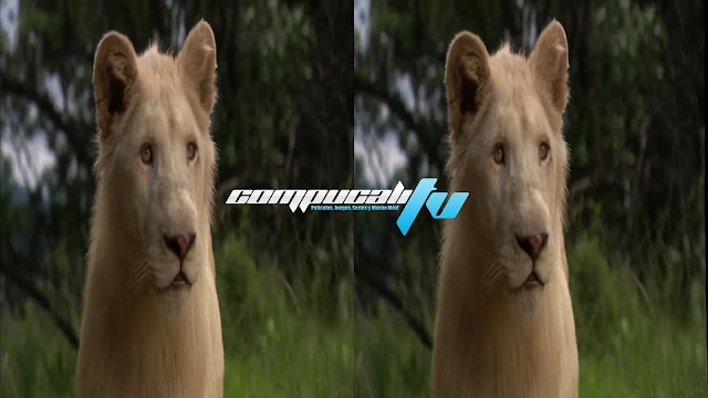 El león Blanco 3D SBS Subtitulado