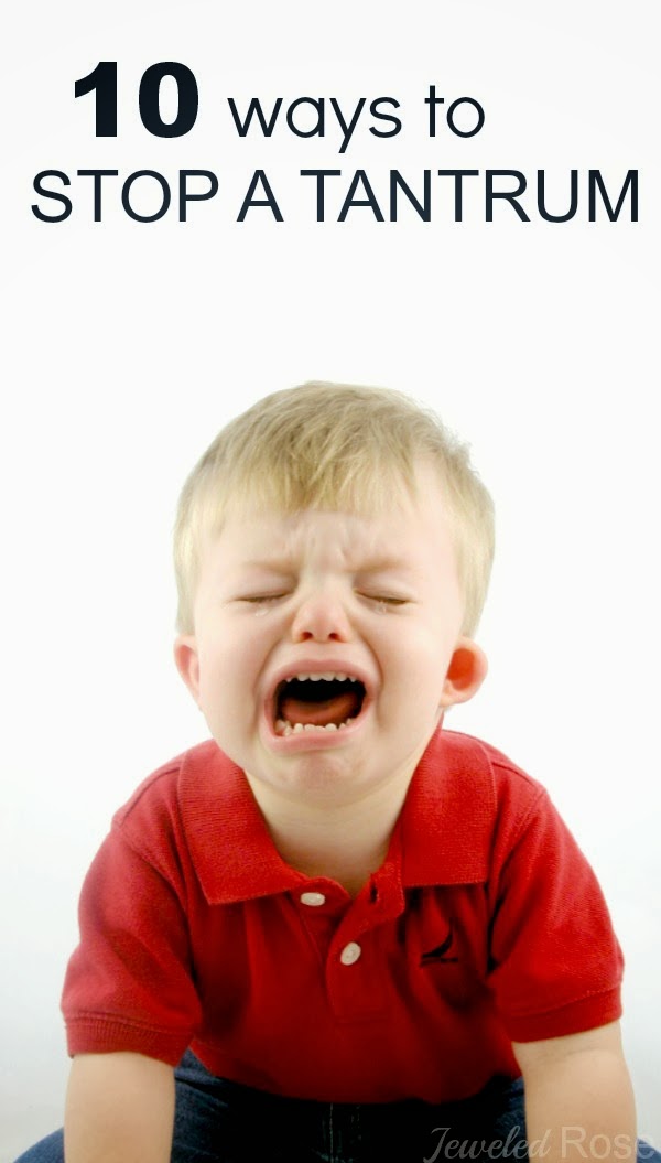 Stop Temper Tantrums in Their Tracks Growing A Jeweled Rose