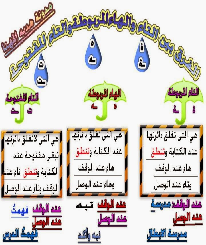 الوصل التاء المفتوحة عند تنطق والوقف تاء التاء المفتوحة