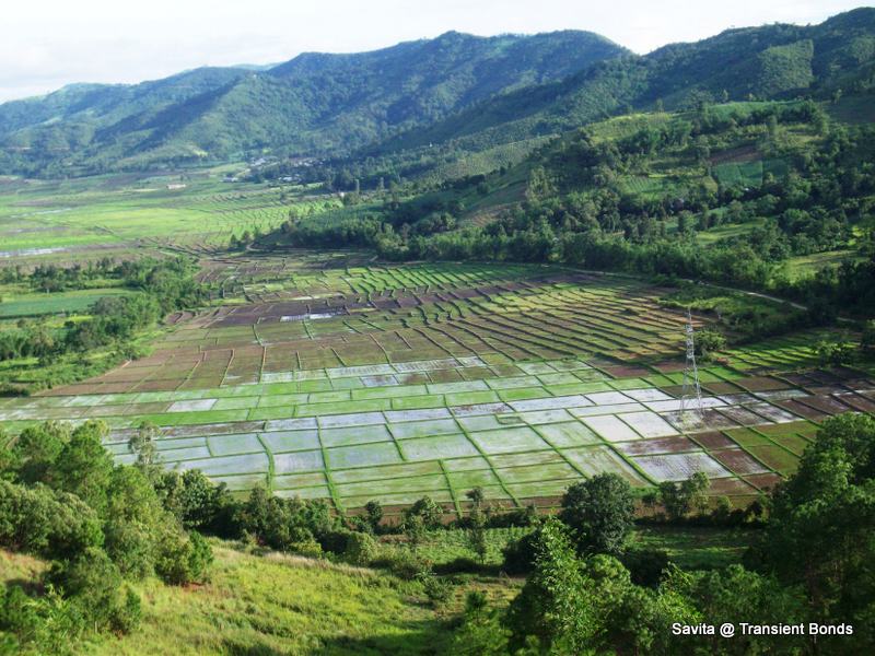 Transient Bonds 44. Kakching