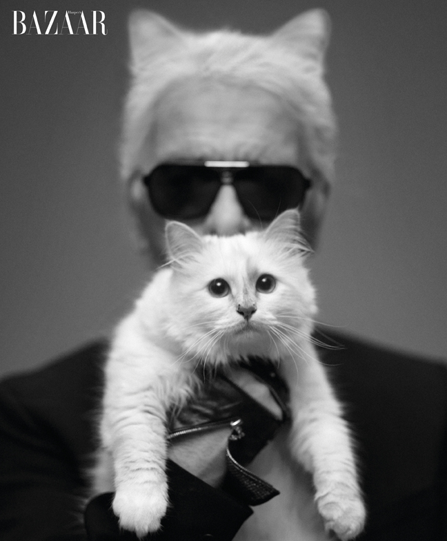 karl lagerfeld with cat