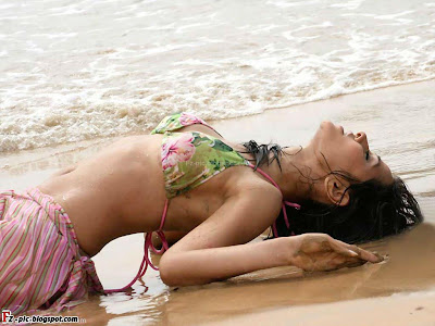 Indian Actress Nisha Kothari photo