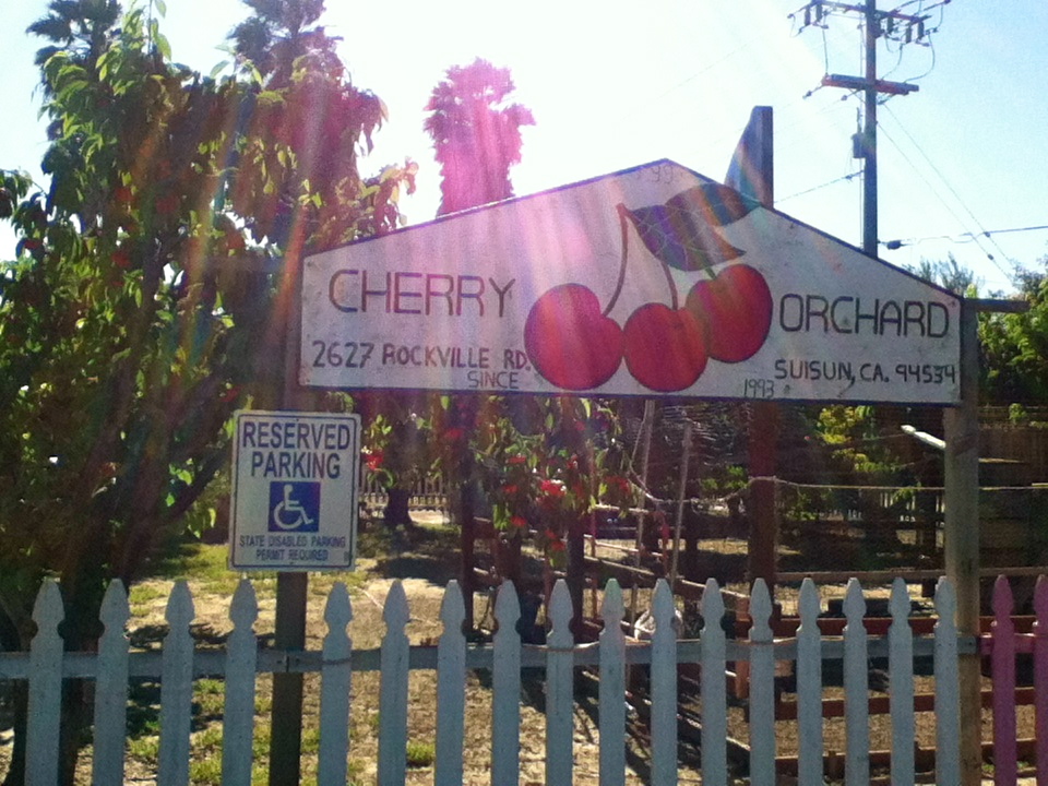 regroch First week in Northern California