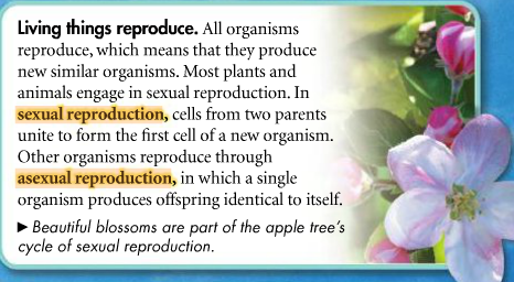 Sulli's Biology: Ch 1 The Science of Biology