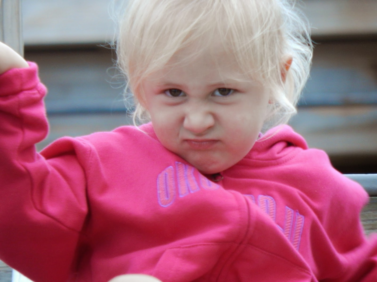 Ally's Sweet and Savory Eats Restaurant Style Chicken Strips