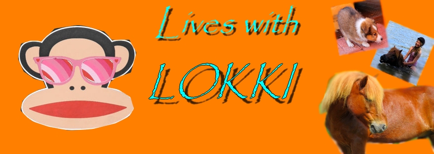 Lokki's life