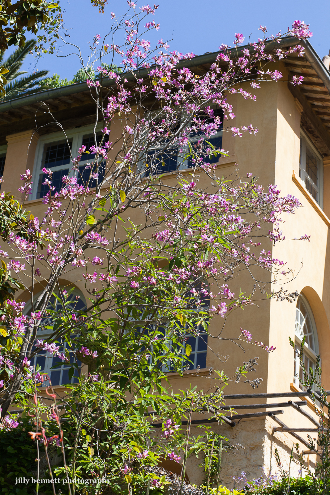 Cafe Mi E Ti Fino Al 20 Luglio 2018 News Vicenza Press Art 3x