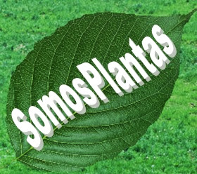 *"Somos Plantas"*